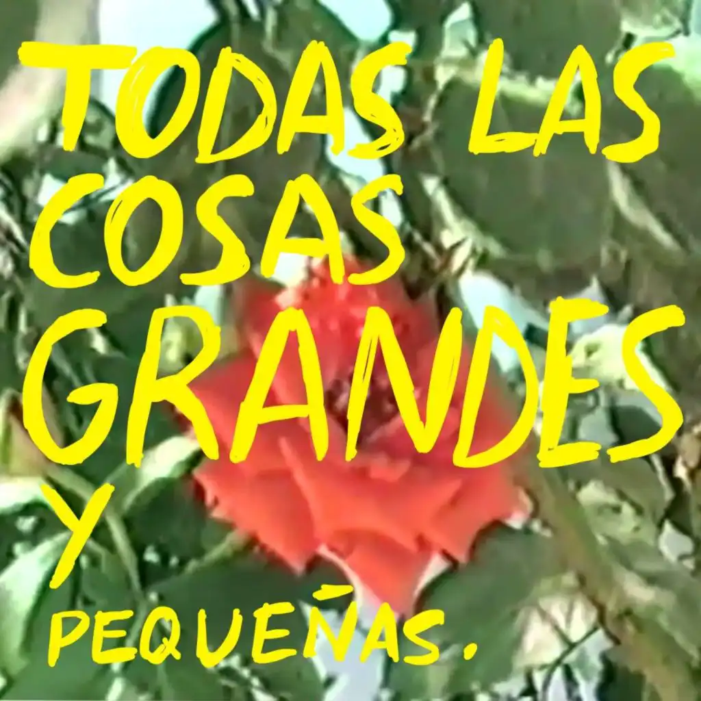 Todas las Cosas Grandes y Pequeñas