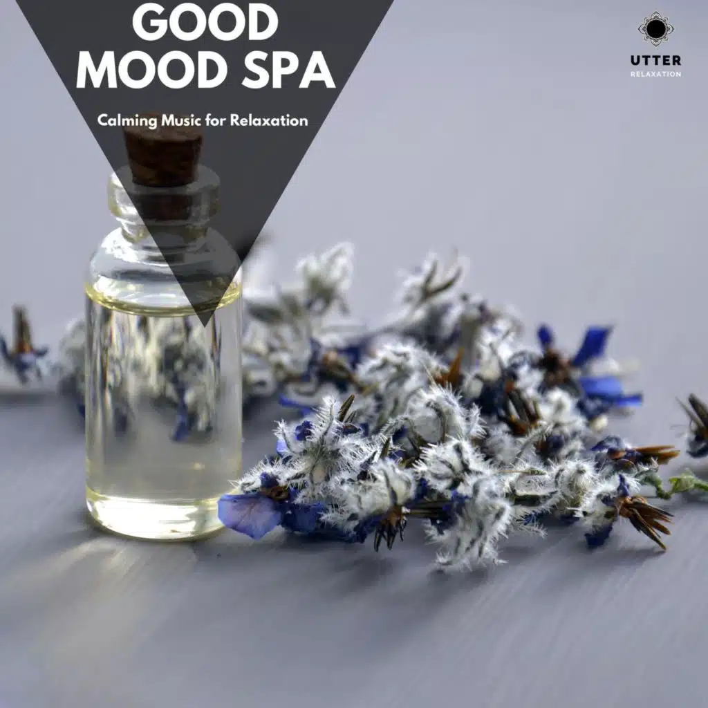 Good Mood Spa: Calming Music for Relaxation
