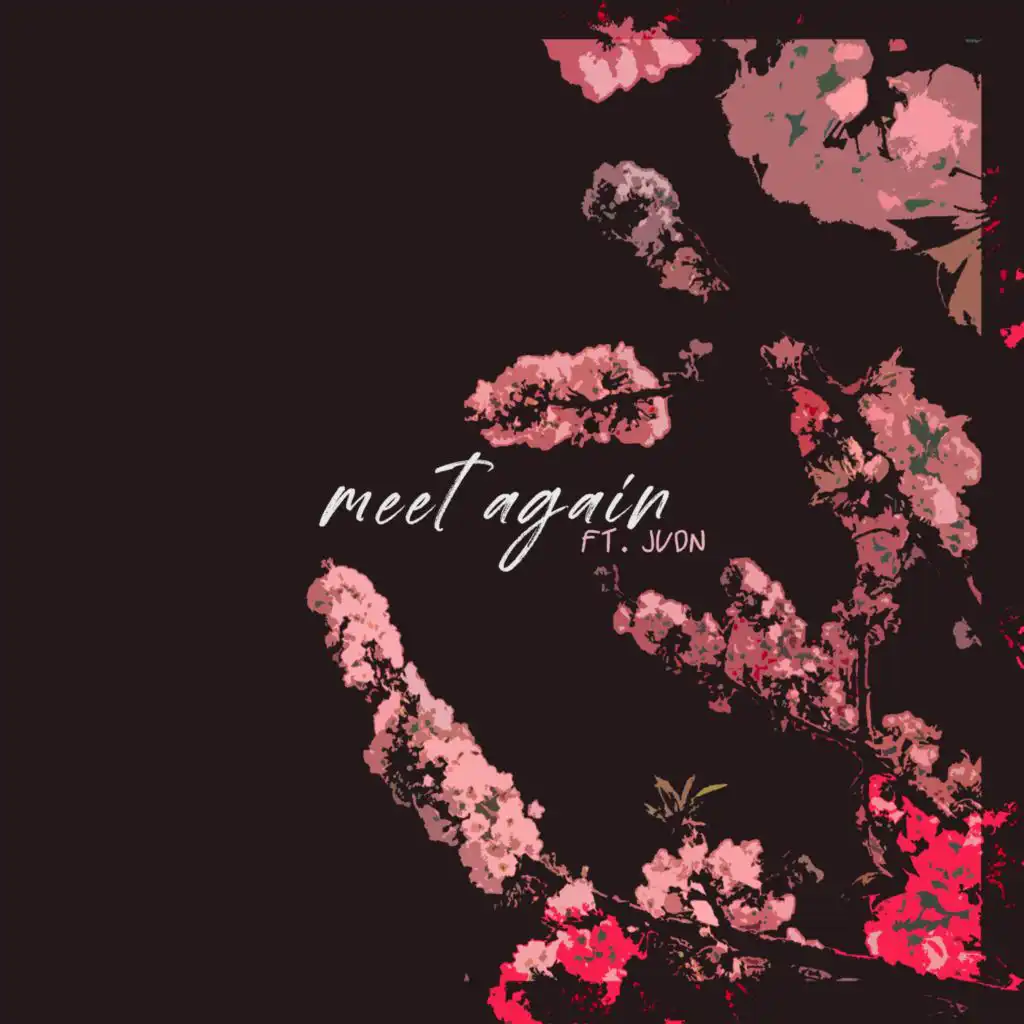 meet again (feat. JVDN)