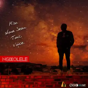 Ngixolele (feat. Shona Sean, Voyce & Something Toxic)