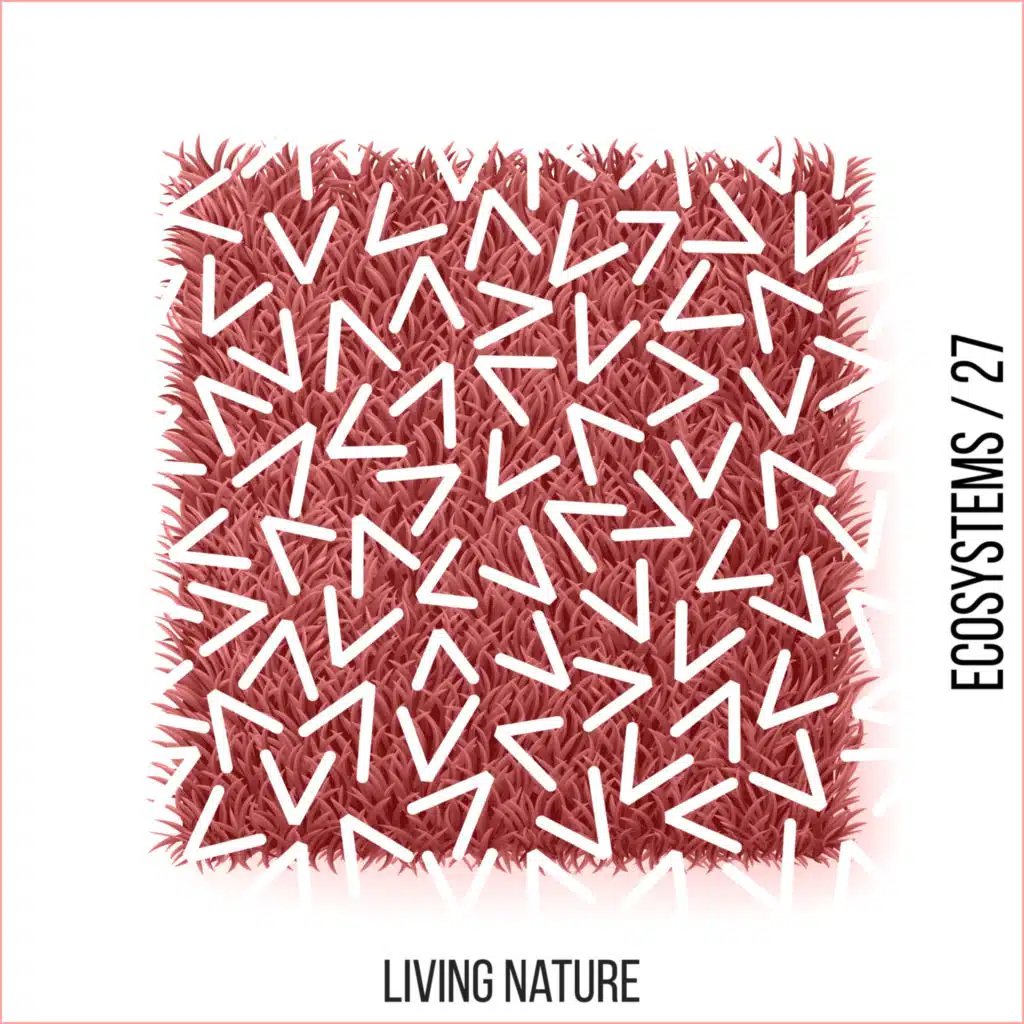 Recollection (Tookroom Remix)