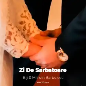Zi De Sarbatoare (feat. Mili din Barbulesti)