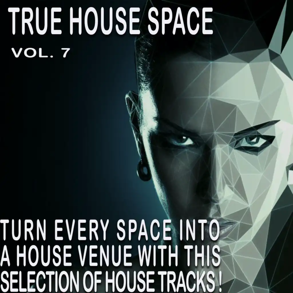 The House Space, Vol. 7