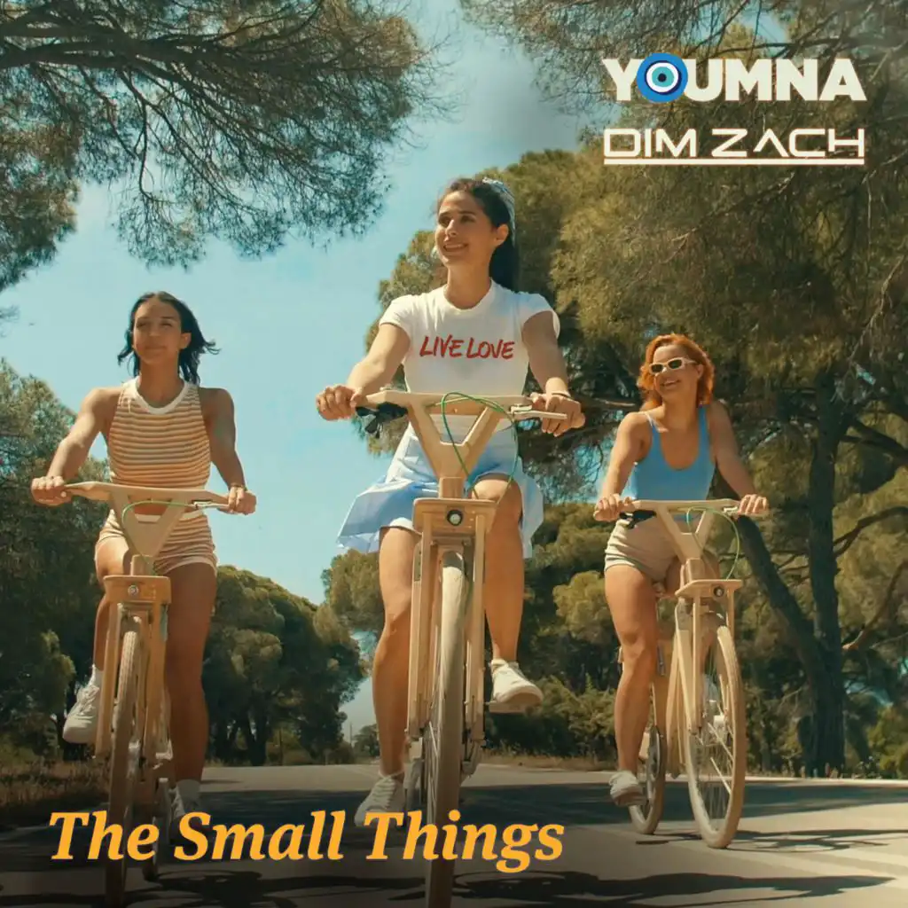 The Small Things (feat. Dim Zach)