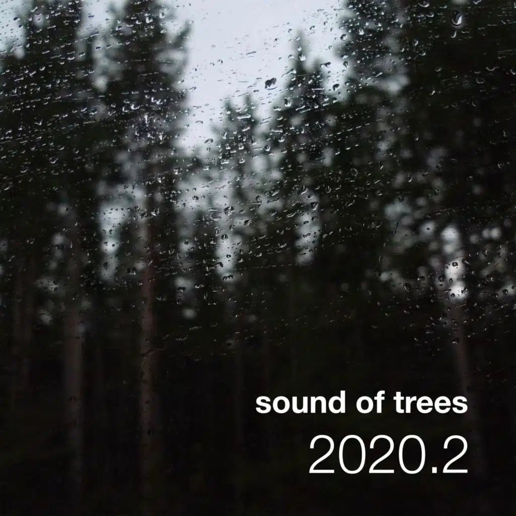 Sound of Trees