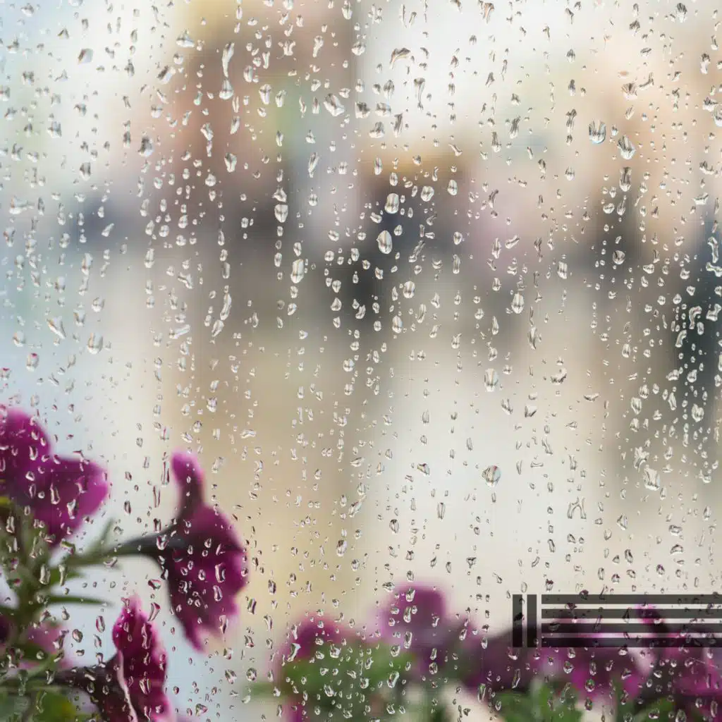 Lluvia Para Dormir (Bucle)