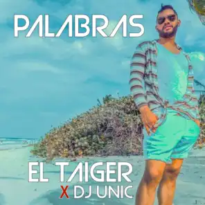 Palabras (feat. DJ Unic)