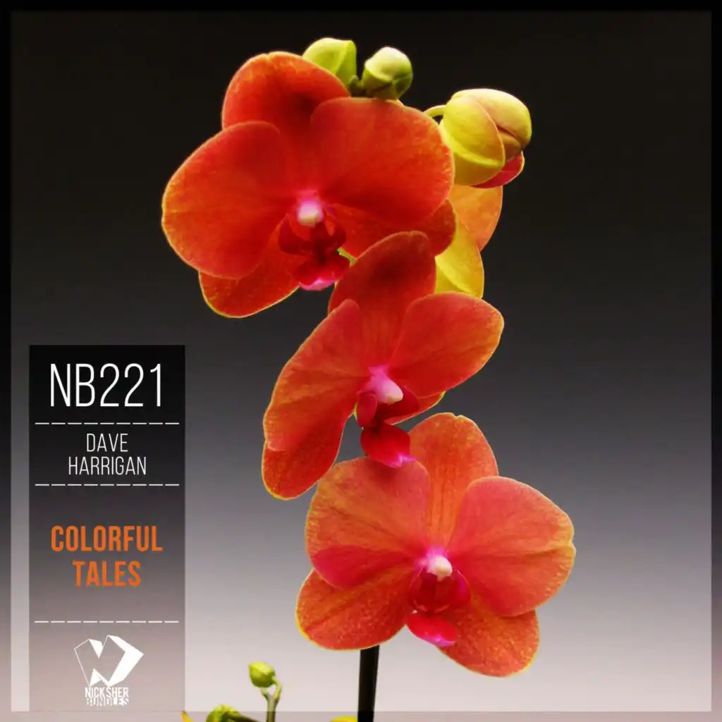 Sunset Girl (Guitar Mix)