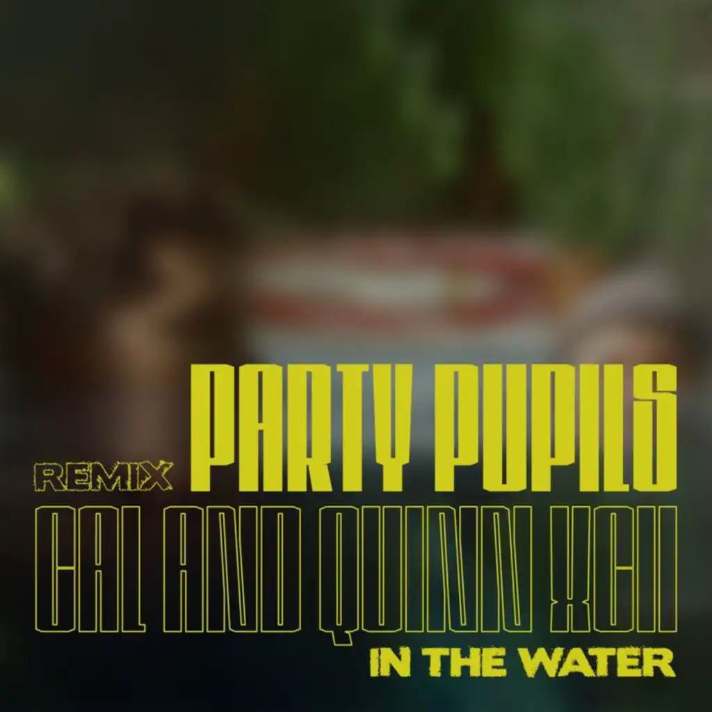 In the Water (Party Pupils Remix) [feat. Quinn XCII]