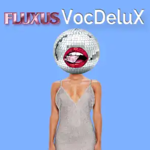 VocDeluX