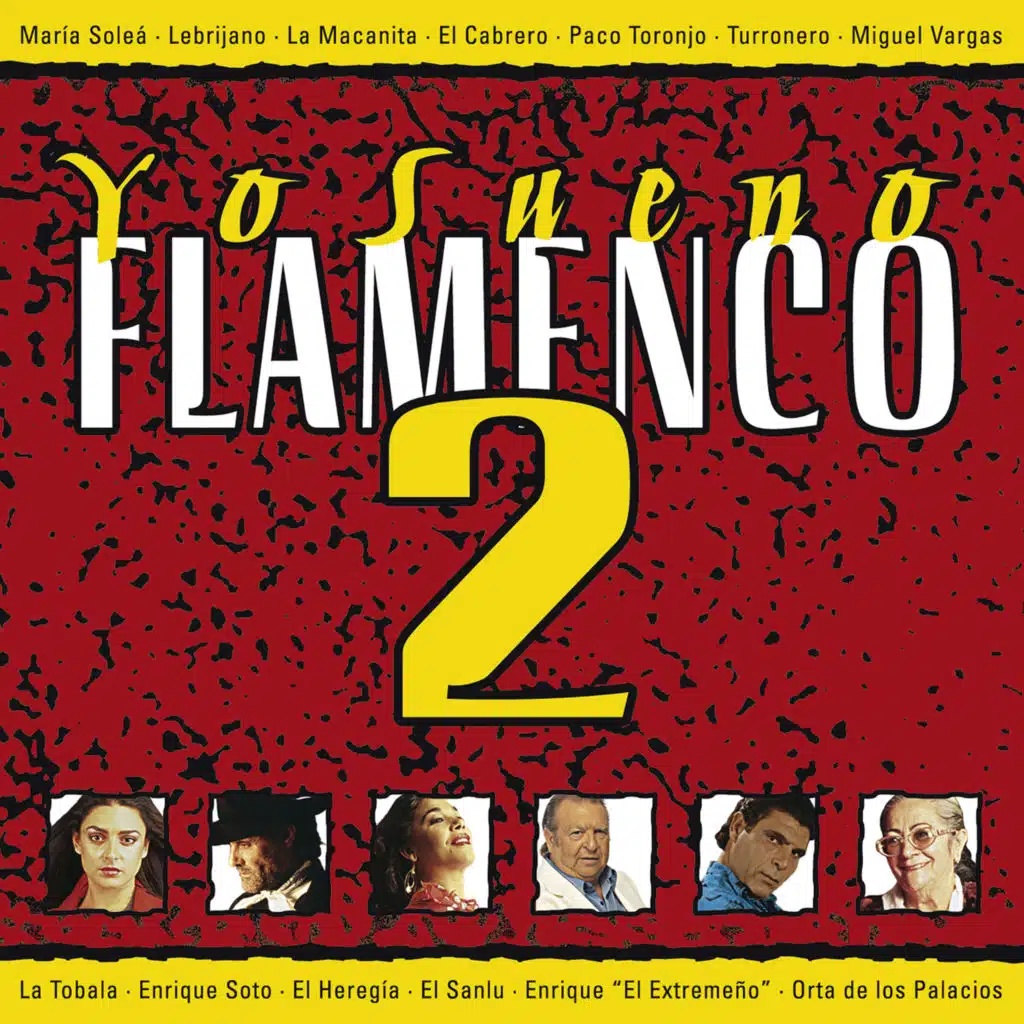 Yo Sueno Flamenco, Vol. 2