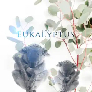 Eukalyptus (feat. Theobeatz)