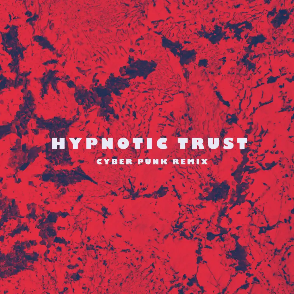 Hypnotic Trust (Cyber Punk Remix)