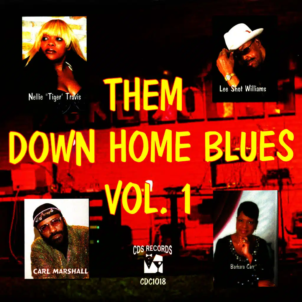 Them Down Home Blues Vol. 1