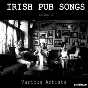 Irish Pub Songs Vol. 2