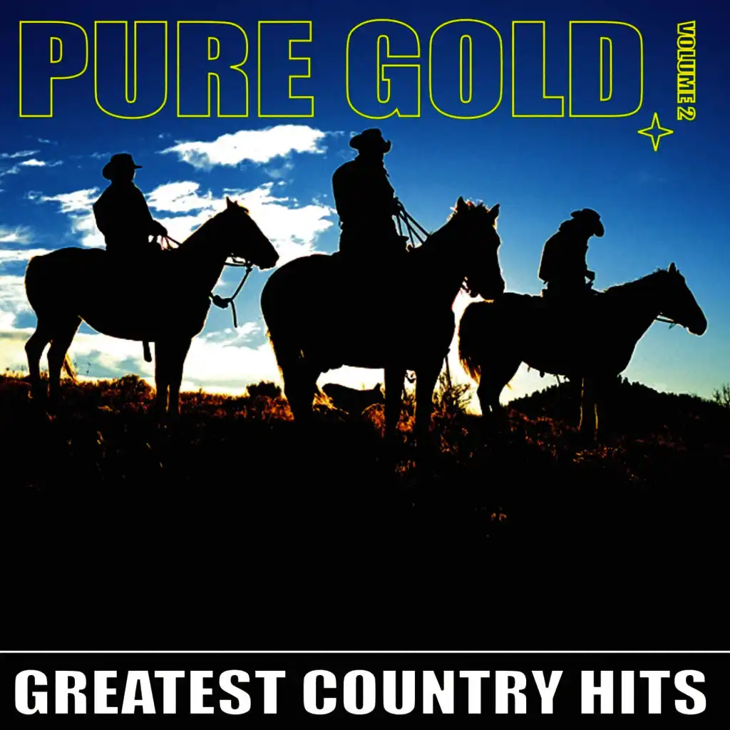 Pure Gold - Greatest Country Hits, Vol. 2