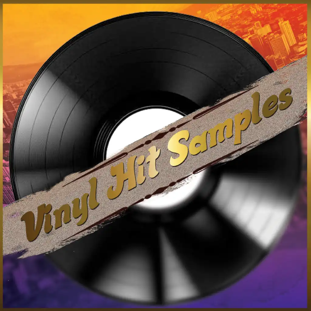 Vinyl Hit Samples