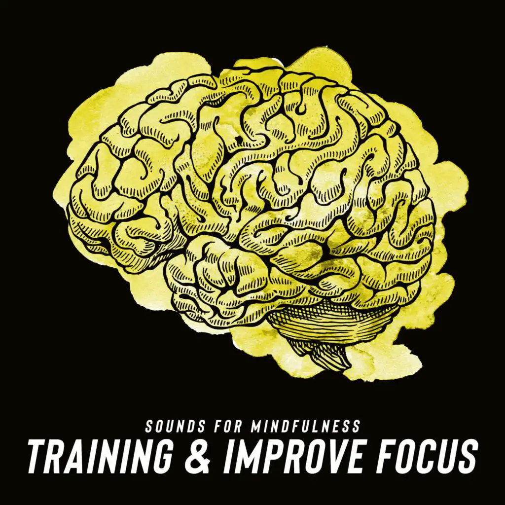 Sounds for Mindfulness Training & Improve Focus