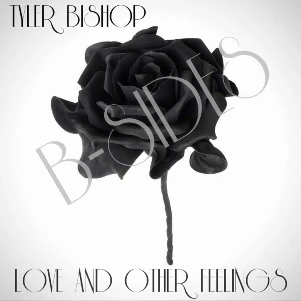 Hero (feat. Alex Marie Brinkley)