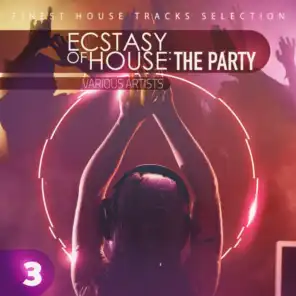 Ecstasy of House: The Party, Vol. 3