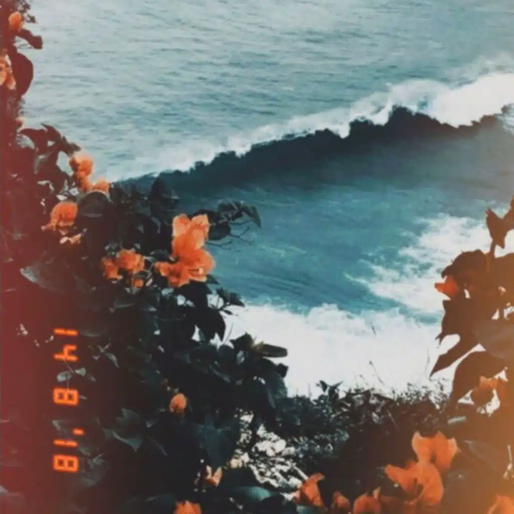 goldenchildren, DREJ & Shiloh Dynasty