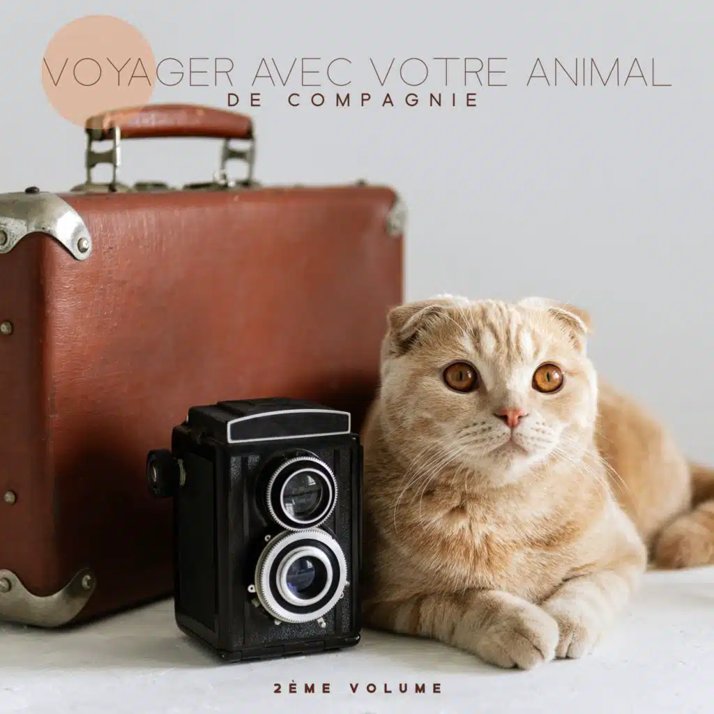 Voyager avec votre animal de compagnie (feat. Pet Music Academy)