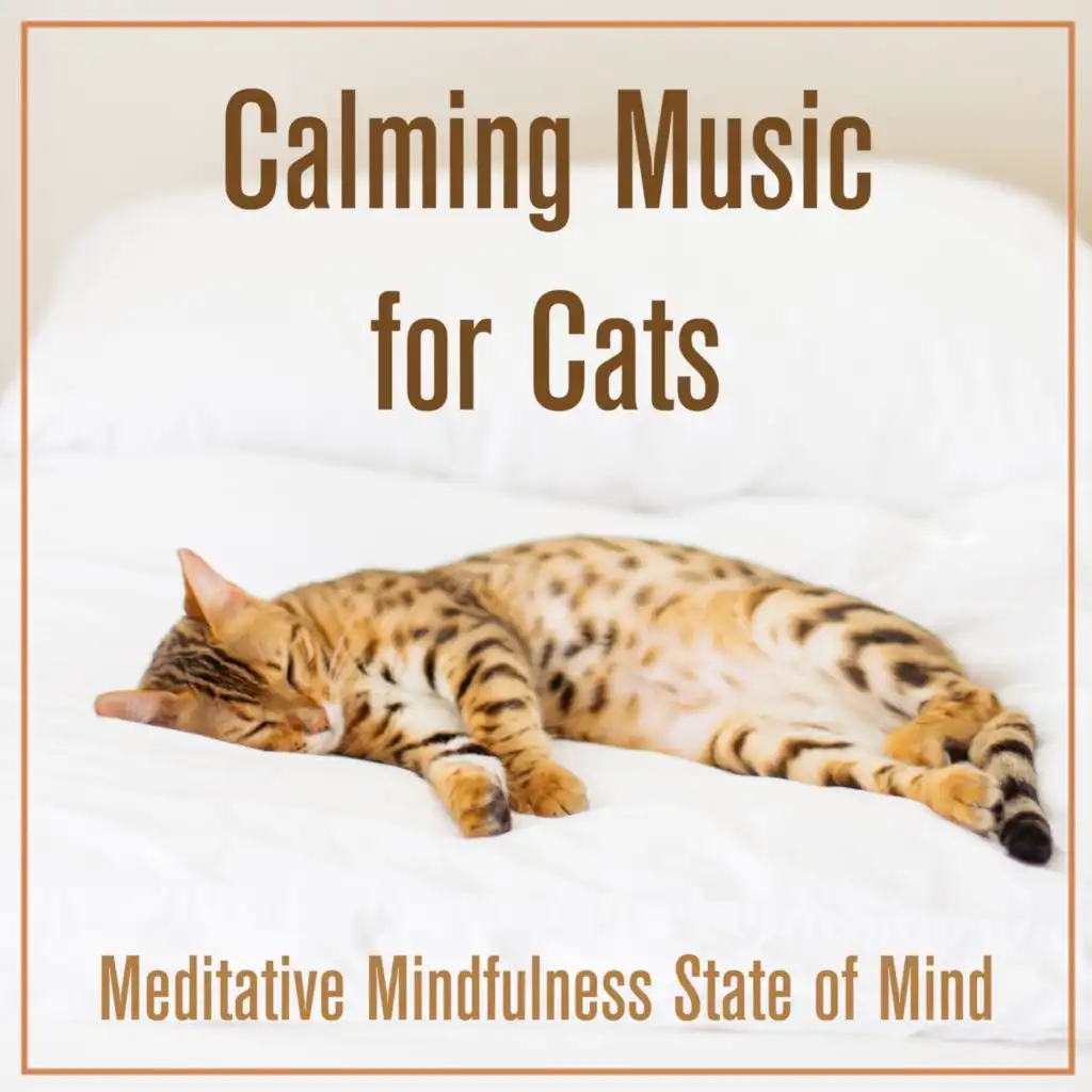 Calming Music For Cats: Meditative Mindfulness State of Mind