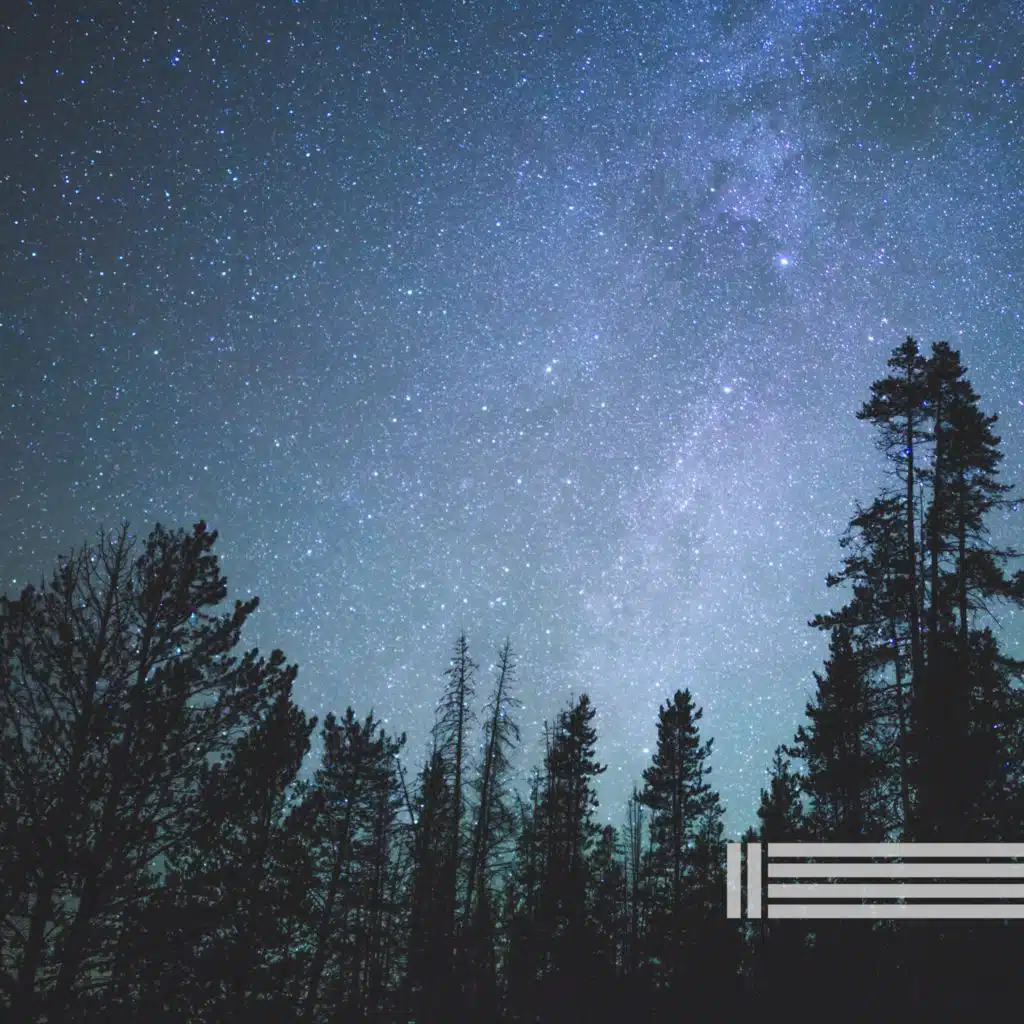 Natürliche Grillengeräusche (Schleife)