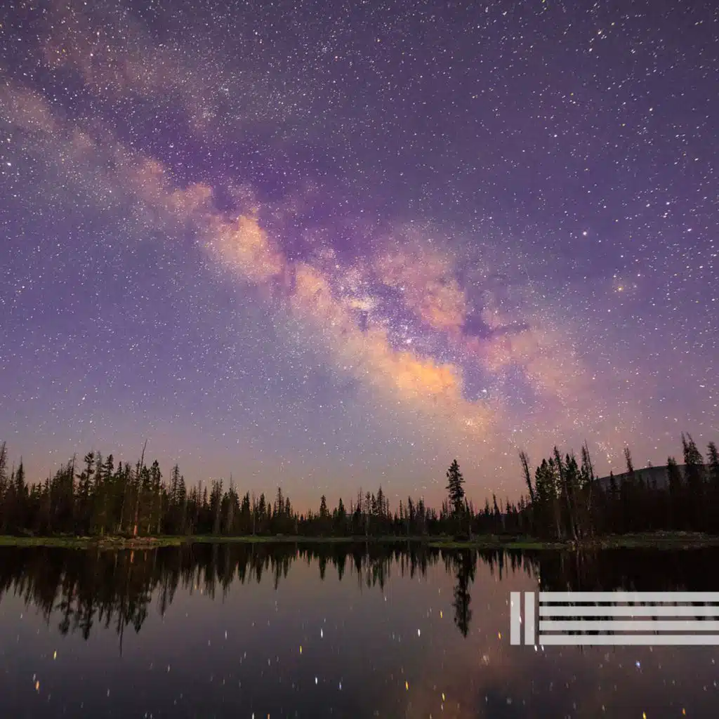 Grilos Relaxantes (Loop)