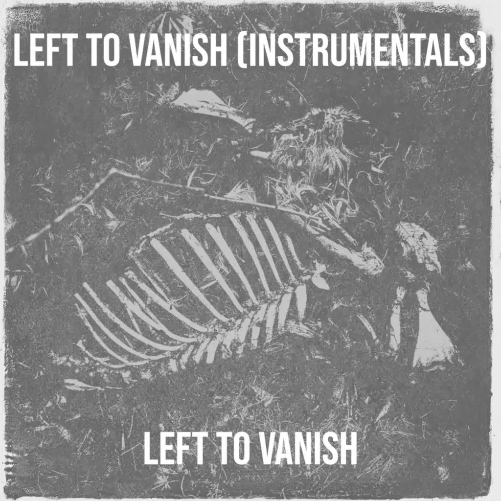 Left to Vanish (Instrumentals)
