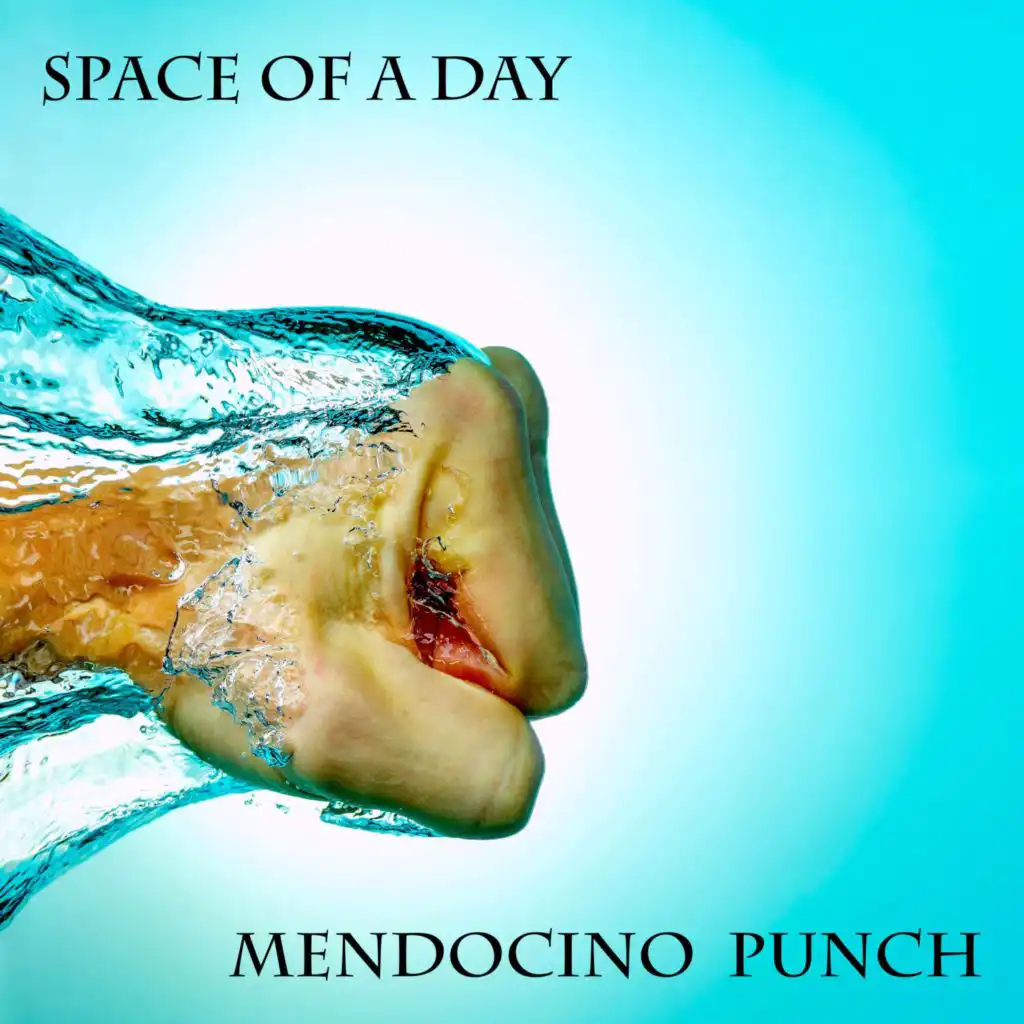 Mendocino Punch