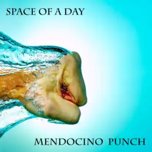 Mendocino Punch