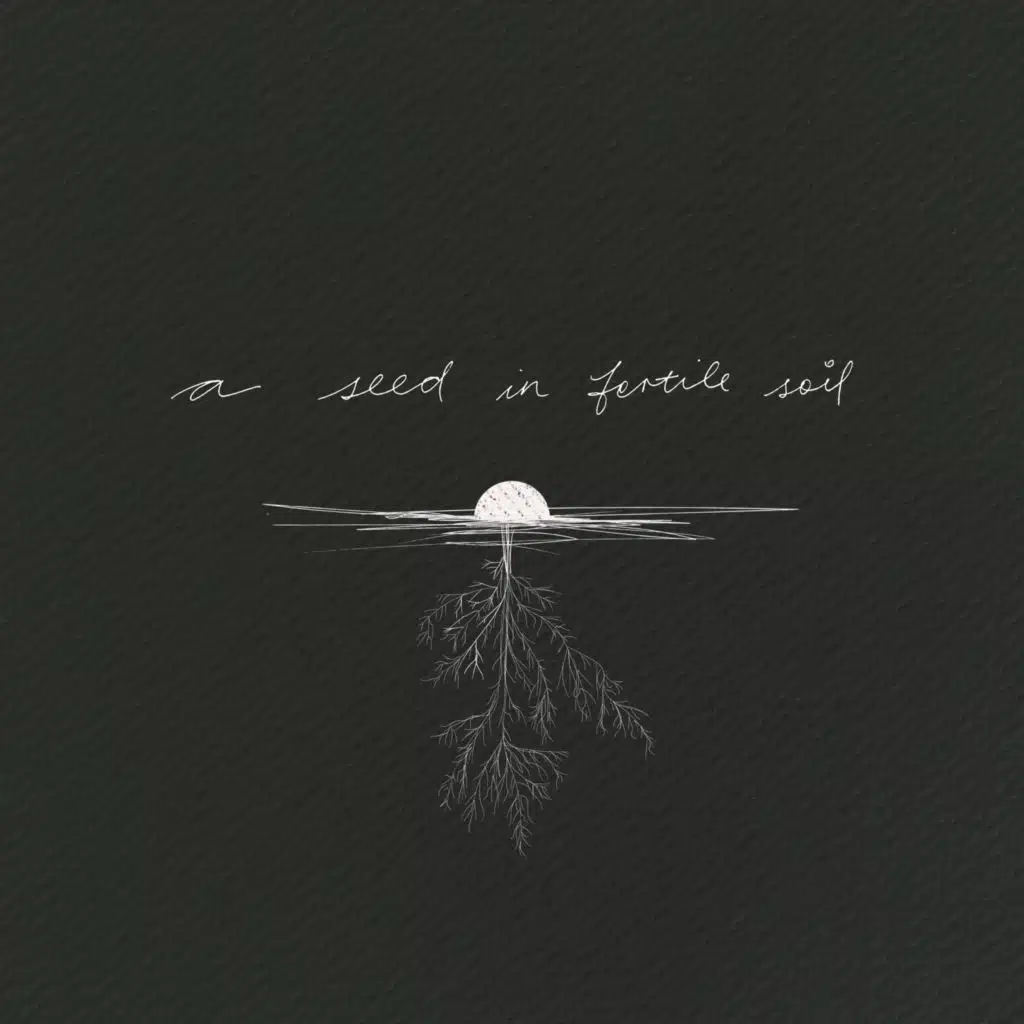 A Seed In Fertile Soil