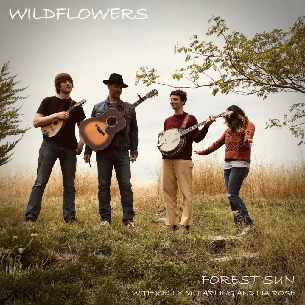 Wildflowers (feat. Kelly McFarling & Lia Rose)
