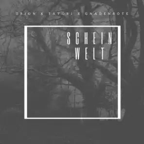 Scheinwelt (feat. Gnadenbote & Tayori)