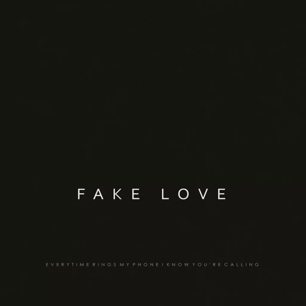 Fake Love (Radio Edit)