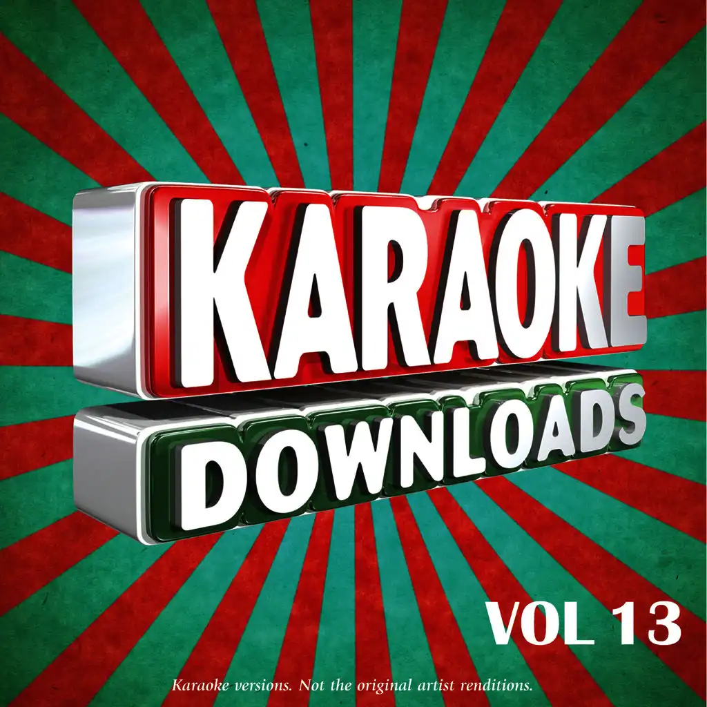 Karaoke Downloads Vol.13