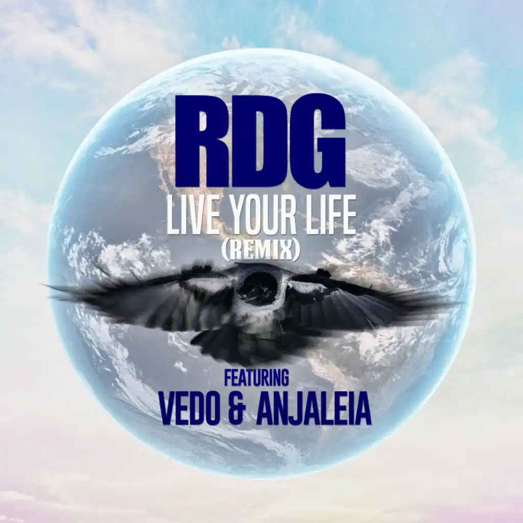 Live Your Life (feat. Vedo & Anjaleia) (Remix)