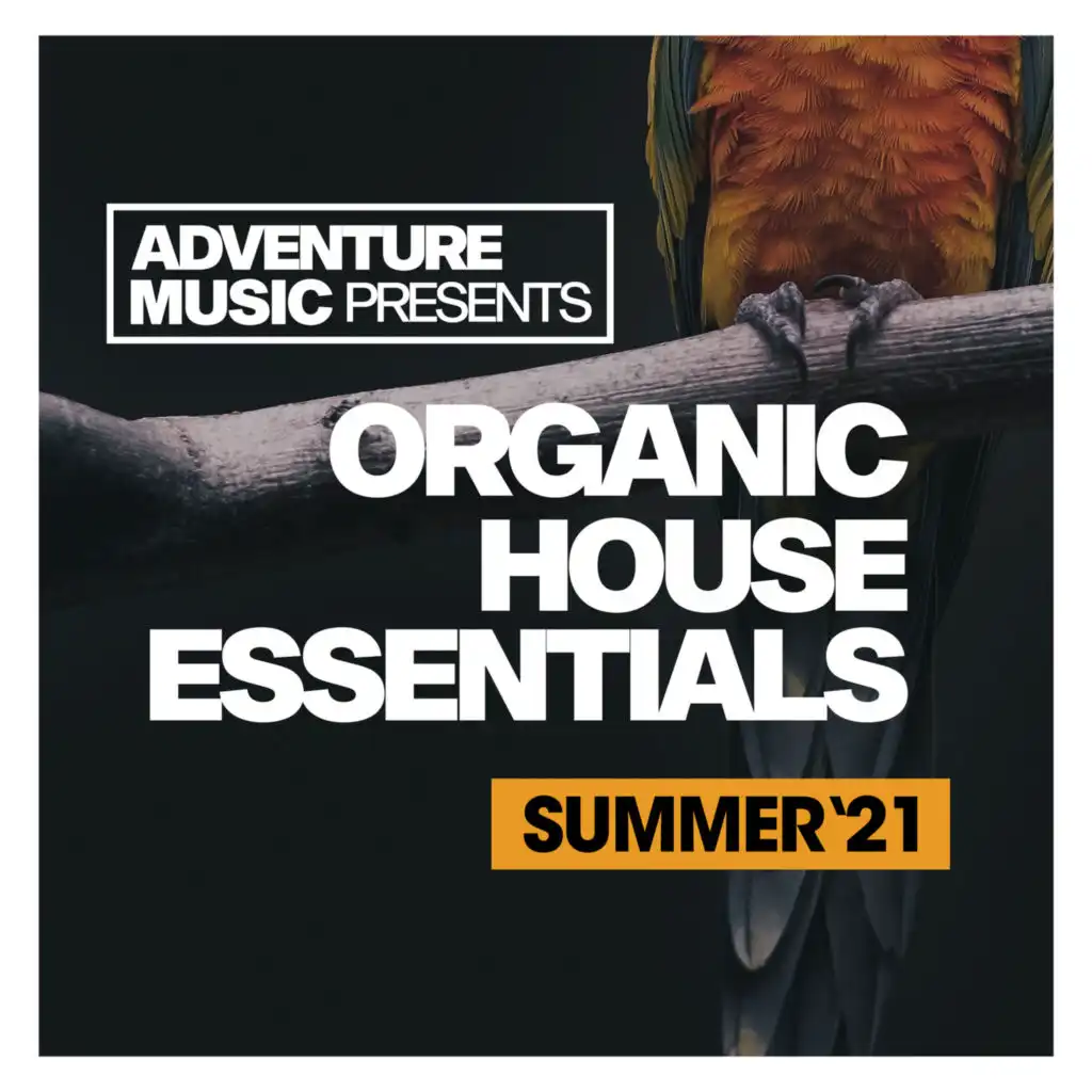 Organic House Essentials (Summer '21)