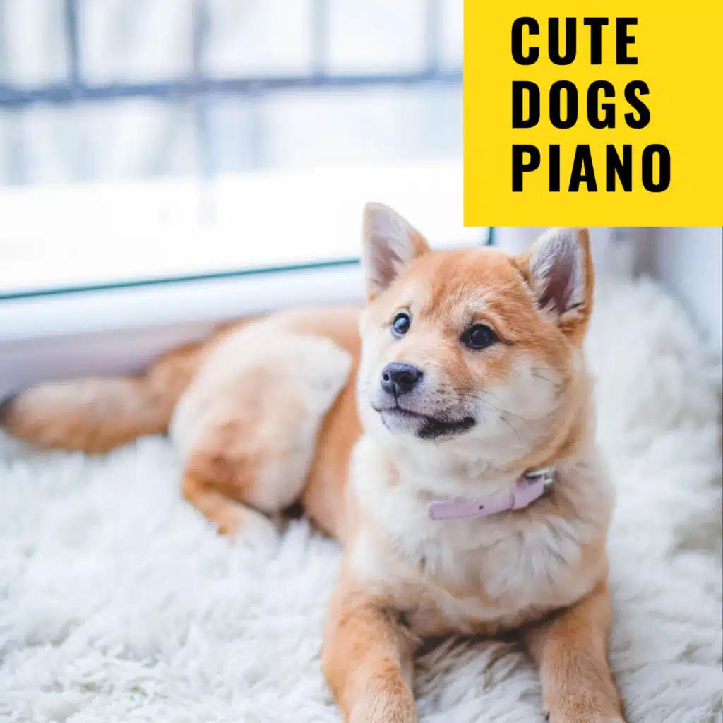 Sleepy Dogs, Cat Music & Music For Cats