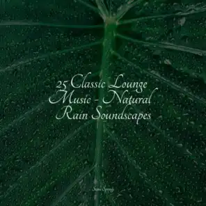 25 Classic Lounge Music - Natural Rain Soundscapes