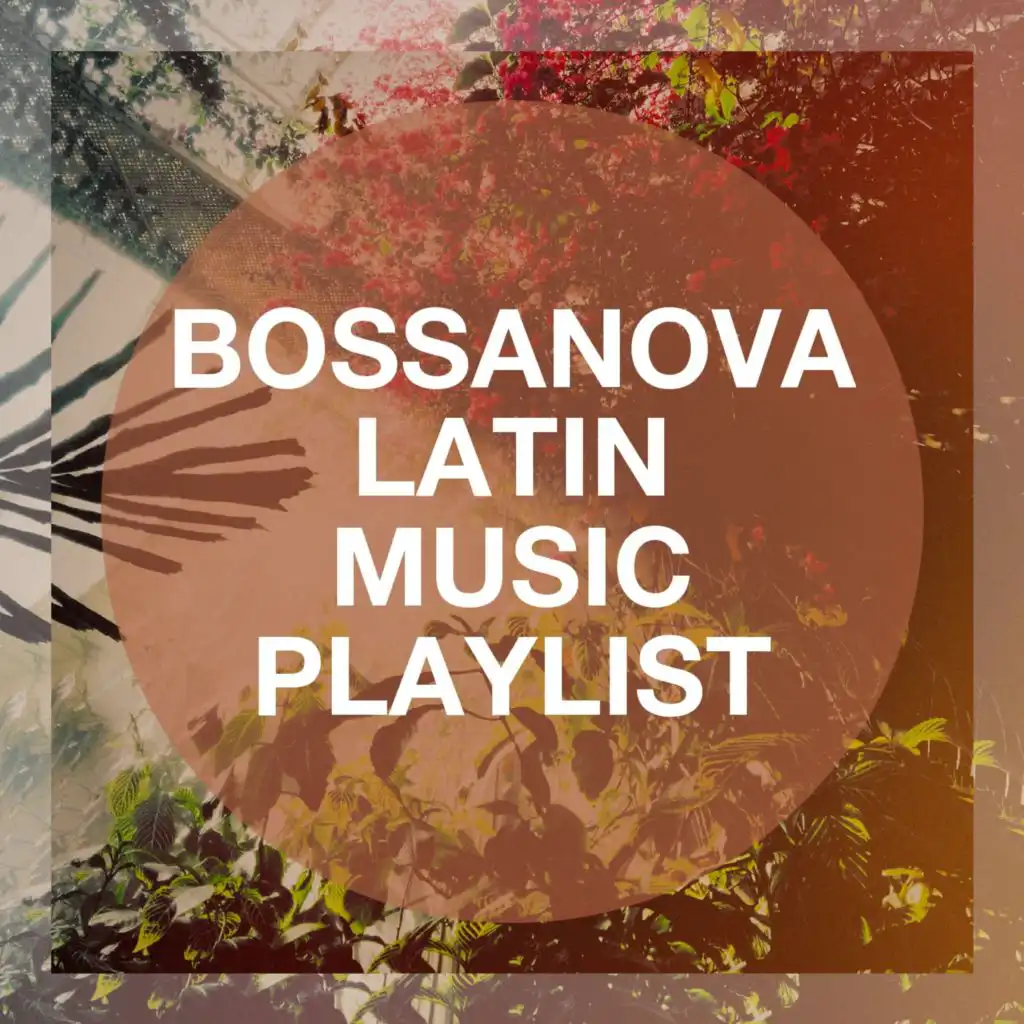 Bossanova Latin Music Playlist