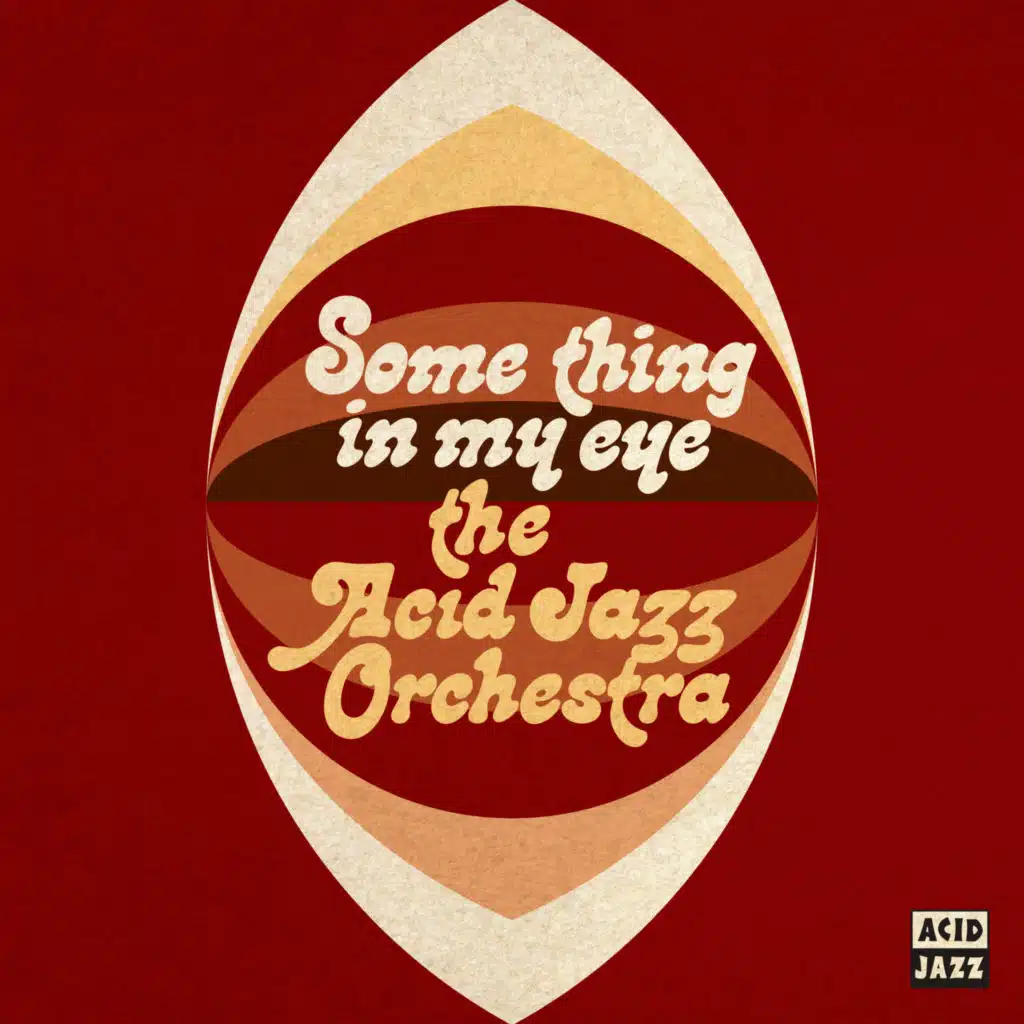 The Acid Jazz Orchestra