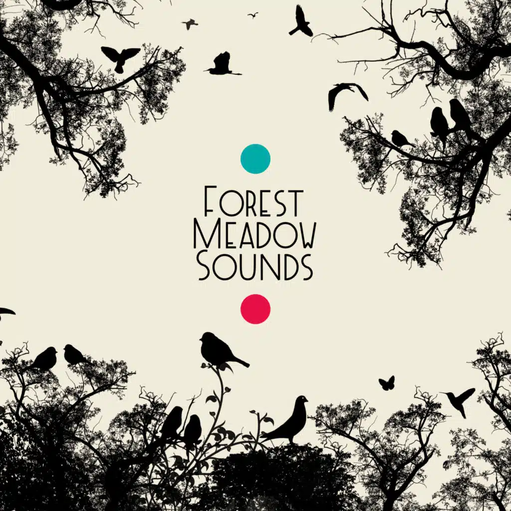 Music to Relax in Free Time