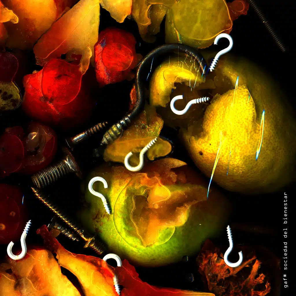 Sociedad del Bienestar