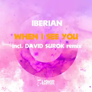 When I See You (David Surok Remix)