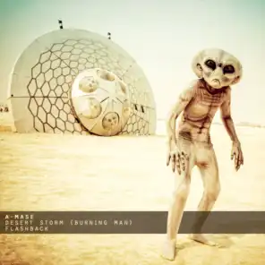 Desert Storm (Burning Man)