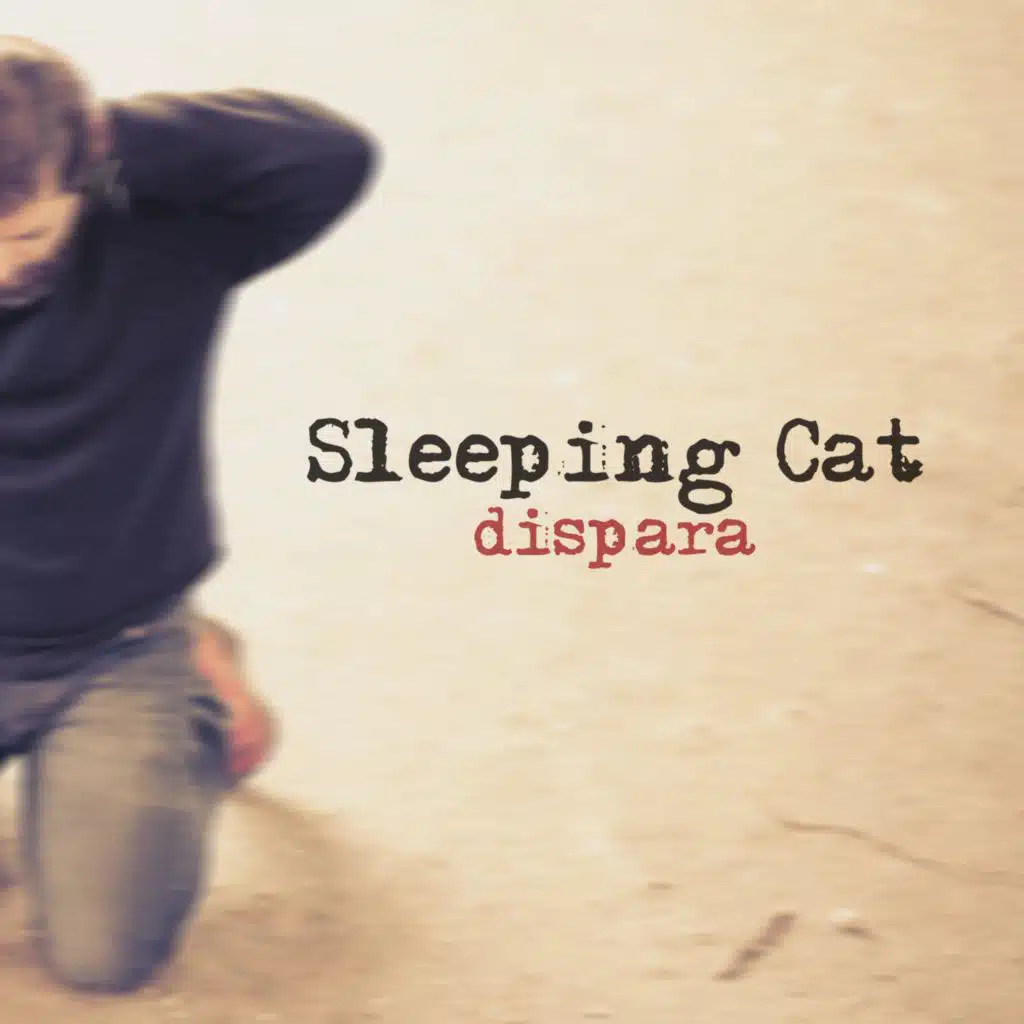 Sleeping Cat