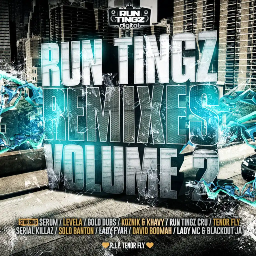 Run Tingz Remixes, Vol. 2