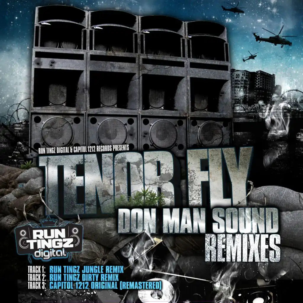 Don Man Sound (Jungle Remix) [feat. Tenor Fly & Run Tingz Cru]